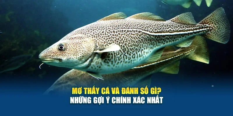 Mơ Thấy Cá Và Đánh Số Gì? Gợi Ý Chính Xác Nhất 2025 4 Mơ Thấy Cá Và Đánh Số Gì? Những Gợi Ý Chính Xác Nhất